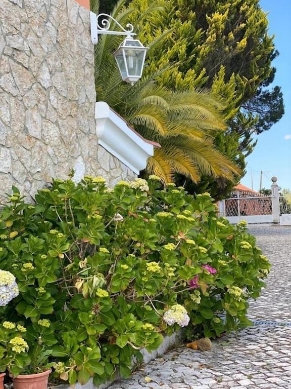 Villa Quinta Do Alto Dos Pinheiros São João da Ribeira Exterior foto