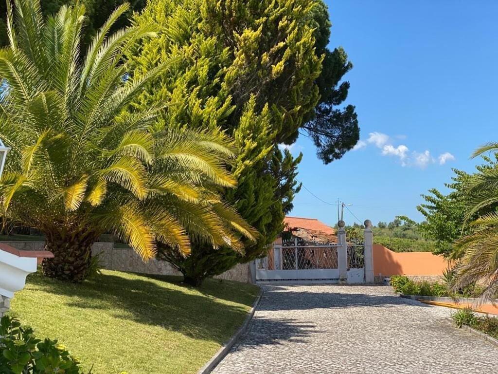 Villa Quinta Do Alto Dos Pinheiros São João da Ribeira Exterior foto